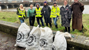 Join the Tarka Trail & estuary clean up on World Clean Up Day
