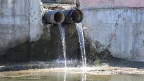 Record sewage dumping requires action
