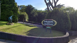 Police appeal for information following burglary at wildlife park
