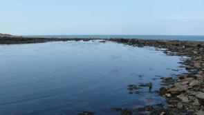 Moves to get Victorian sea pool opened again