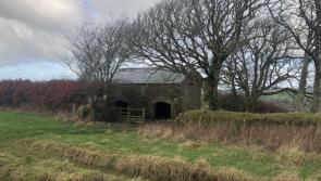  Big demand more free-to-stay-in nature shelters
