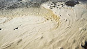 &ldquo;Froth&rdquo; on Northam beach addressed by South West Water
