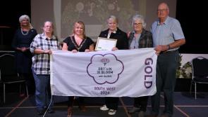 Barnstaple in Bloom celebrates local gardening success
