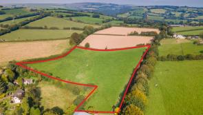  Land approved for development in North Devon village
