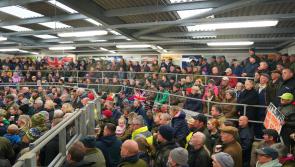North Devon farmers rally in Holsworthy 
