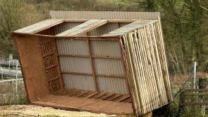 Storm Darragh causes damage at Mare and Foal Sanctuary sites
