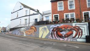 Ilfracombe brightened by new sea-themed mural

