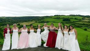  Explore North Devon's wedding fayre at RHS Rosemoor
