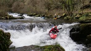 National Trust celebrates 130 years with bold plan to tackle nature crisis 