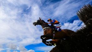 Nothing beats a day at the races