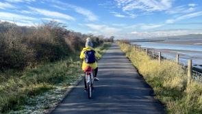 Free adult cycle sessions now available in Barnstaple
