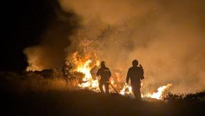 Fire breaks out on heathland as cause remains mystery