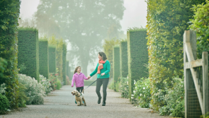 RHS Garden Rosemoor to trial dog-friendly days
