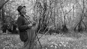 Exhibition highlights rural North Devon life at Thelma Hulbert Gallery