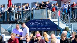 Spectacular sunny return for Newton Races
