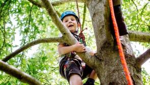 
RHS Rosemoor offers woodland crafts and forest fun for families this summer