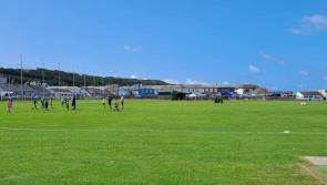 Summer holiday cricket camps