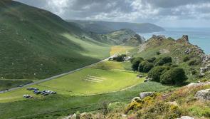 Businesses invited to have their say on proposals for a Devon ‘super council’