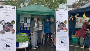 Meet the naturalists sparking a wildlife revolution at Bideford festival