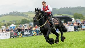 Your guide to North Devon Show 2025 as the region gears up for its premier event
