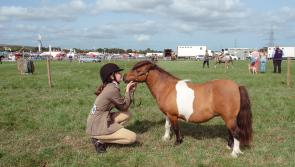Pictures: North Devon Show dodges the rain by a day as visitors flock to the showground