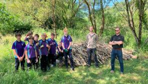 Devon students team up with the Environment Agency to build otter habitat 