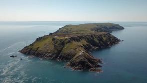 Have your say on the 10-year vision for North Devon’s Biosphere