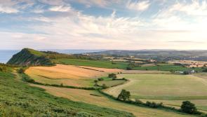 New council set up would be more cost-effective and sustainable