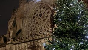 Exeter Philharmonic Choir’s ‘Carols in the Cathedral’ bring festive sparkle to winter nights 