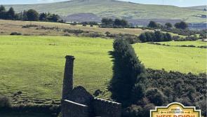 Spotlight on West Devon’s mining heritage: The story of Wheal Betsy