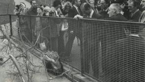 Nostalgia: When Royals came to the Bay