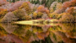 South West Lakes Trust seeks new trustees to help shape the future of nature across the region