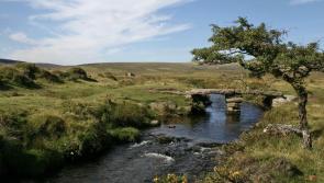 New Climate Action Plan boosts Dartmoor National Park’s pledge to reach net zero