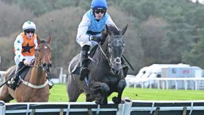 Standout performances wow crowds at Exeter Racecourse charity raceday