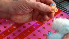 Devon Trading Standards warns Christmas shoppers to check toy safety before buying