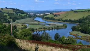 Devon looks to strengthen river protections in response to environmental decline