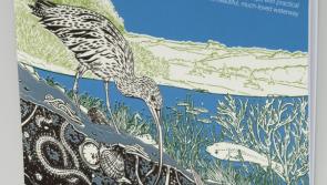 A calendar for all Dartmoor river lovers