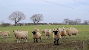 Crucial new business tax will &lsquo;destroy the farming industry&rsquo;, says South West Devon MP