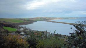 South Hams joins national climate action group calling for urgent change