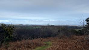 2025 on Dartmoor: The Moorlander reflects on a year of challenges and progress across the moor