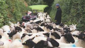 George Welch: A life of farming, family and racing on the Southern fringes of Dartmoor