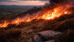 Uncontrolled wildfires on Dartmoor prompt police and fire service warning
