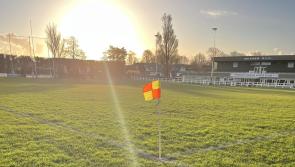 Brixham crush Exmouth to retain rugby hopes of catching leaders