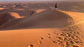 Rowcroft Hospice invites adventurers to trek the Sahara in 2027
