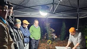 How pizza, kayaking and conversation are helping Torbay men reconnect