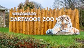 Dartmoor Zoo hits major visitor milestone after record-breaking year