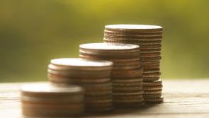 West Devon councillors agree to personal allowance rise by over 3%