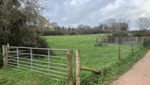 Formal work begins to protect 'much-loved' Brixham walking route