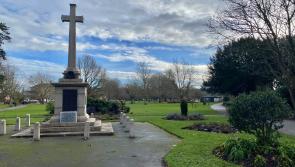 Come along and help plant 240 new saplings in Barnstaple park this March