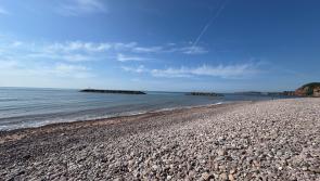 Arsonists target Devon seaside town